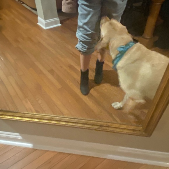 Black booties - Picture 7 of 12